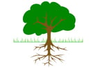 árbol con raíces 