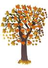 Imagenes árbol en otoño