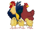 Imagenes gallo, gallina y polluelos