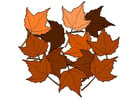 Imagenes hojas de otoño