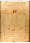 Imagenes Leonardo da Vinci - Hombre de Vitrubio