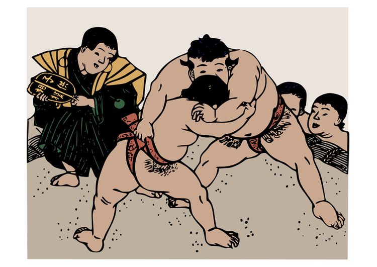 Imagen lucha sumo