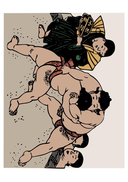 lucha sumo