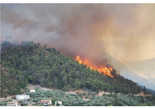 Incendio forestal