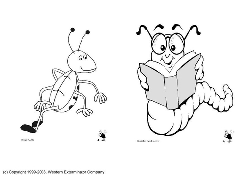 Insectos