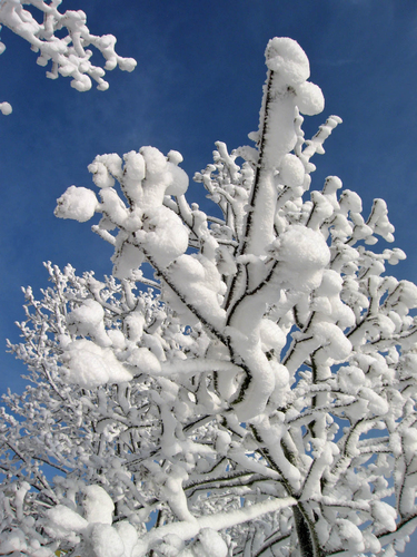 Invierno7