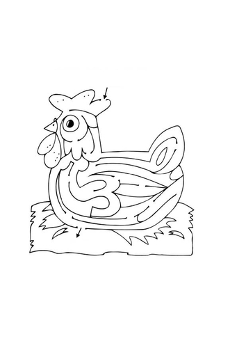 Laberinto de gallina