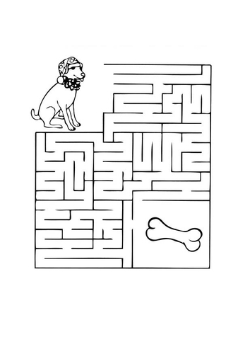 Laberinto de perro