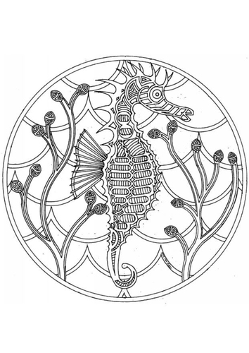 Mandala caballito de mar