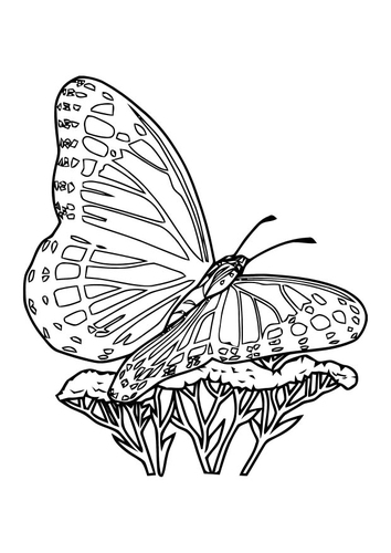 Dibujo para colorear Mariposa