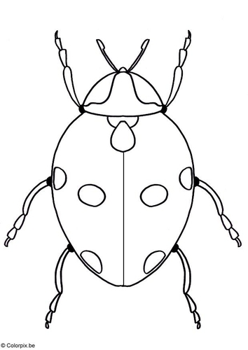 Mariquita