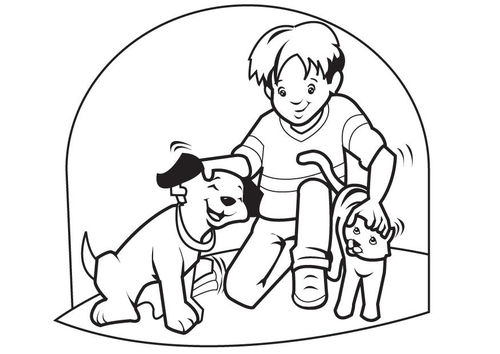 Mascotas perro y gato