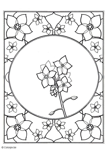 Miosotis