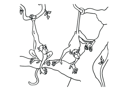 Monos