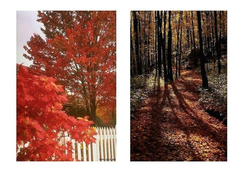 Otoño