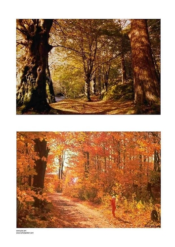 Foto Otoño