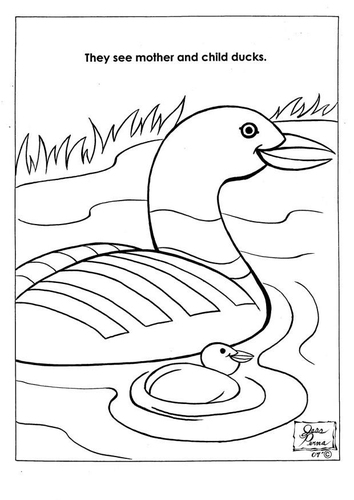 Patos en parque natural
