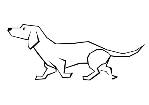 Perro