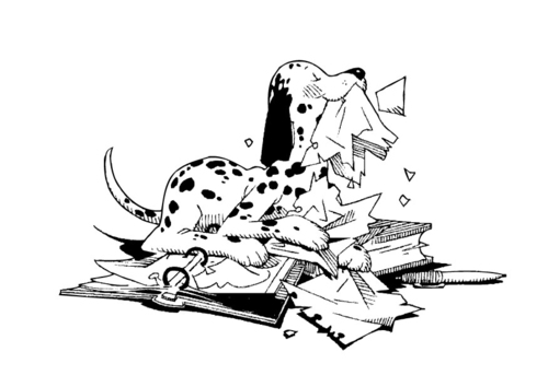 Perro