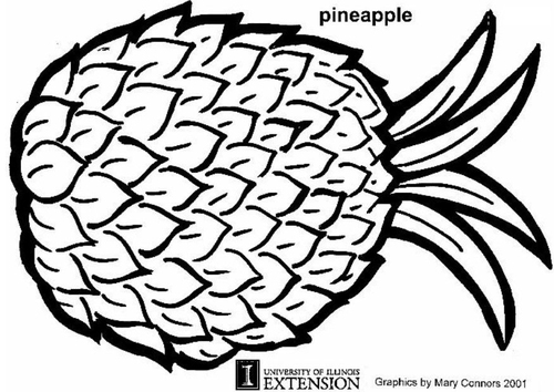 Piña