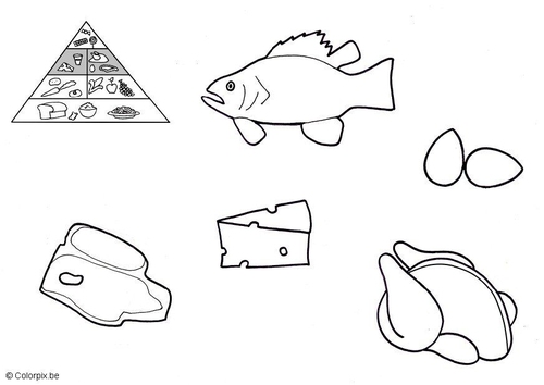 Productos de origen animal