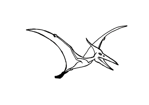 Dibujo para colorear Pterosauro