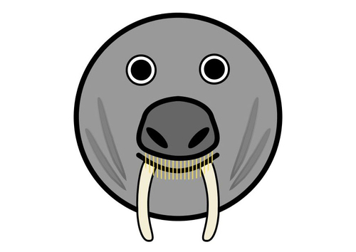 r1 - morsa