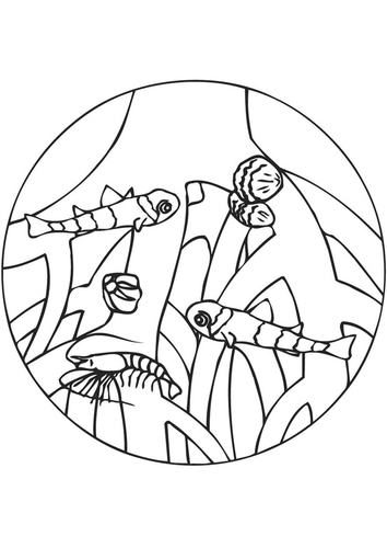Raíces de mangle