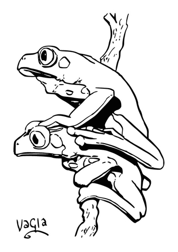 Ranas