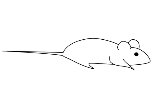 Ratón