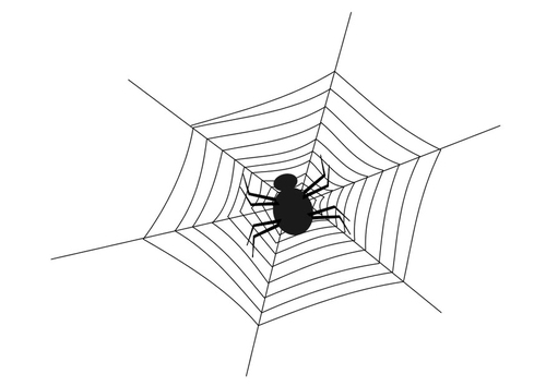 Dibujo para colorear telaraña con araña