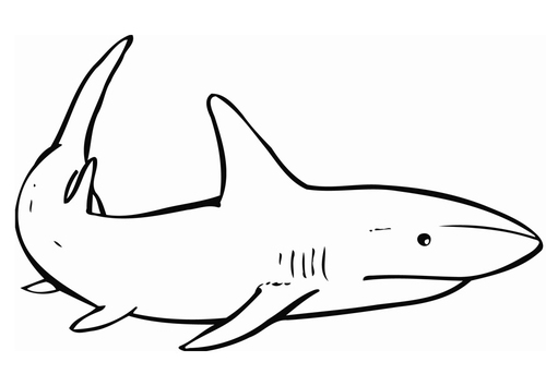 Dibujo para colorear Tiburón