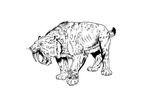 Tigre dientes de sable