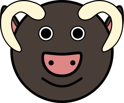 Toro