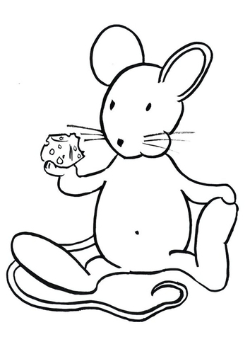 Transi, el conejo