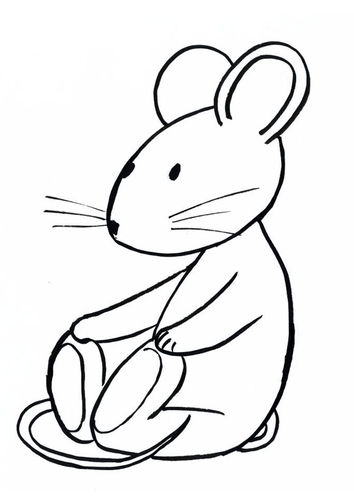 Transi, el conejo
