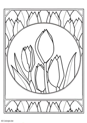 Tulipanes