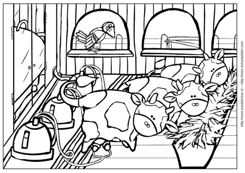 Vaca