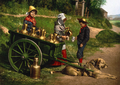 Foto Vendedores de leche con carro de perro - 1980 Bélgica