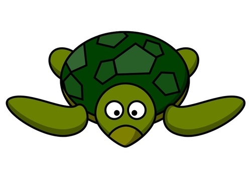 z1- tortuga