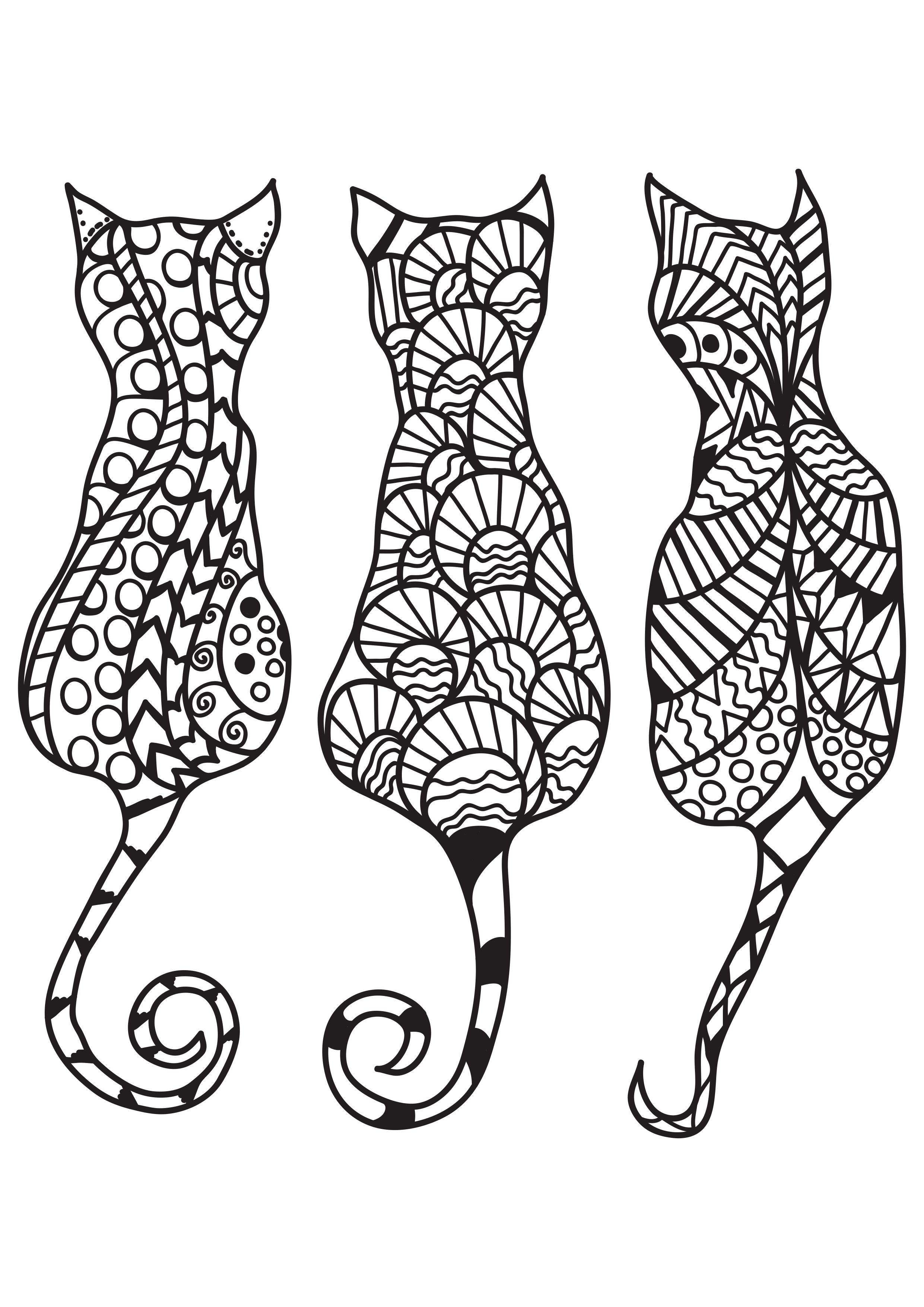 Dibujo para colorear 3 gatos