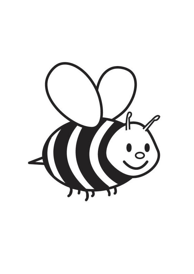 Dibujo para colorear abeja
