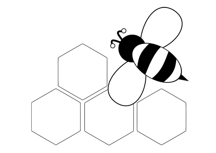 Dibujo para colorear abeja - parte posterior