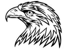 Dibujos para colorear águila