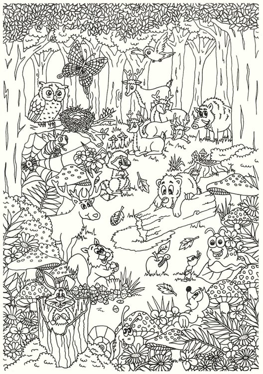 Dibujo para colorear animales en el bosque