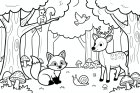 animales en el bosque