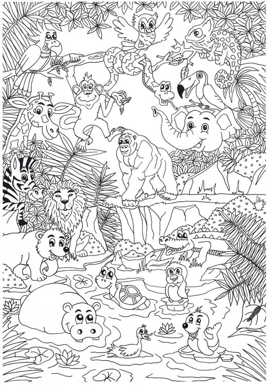Dibujo para colorear animales en la selva