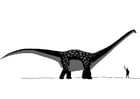 Dibujo para colorear Antarctosaurus