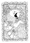 dibujo-para-colorear Ara