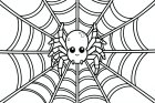 araña en la telaraña